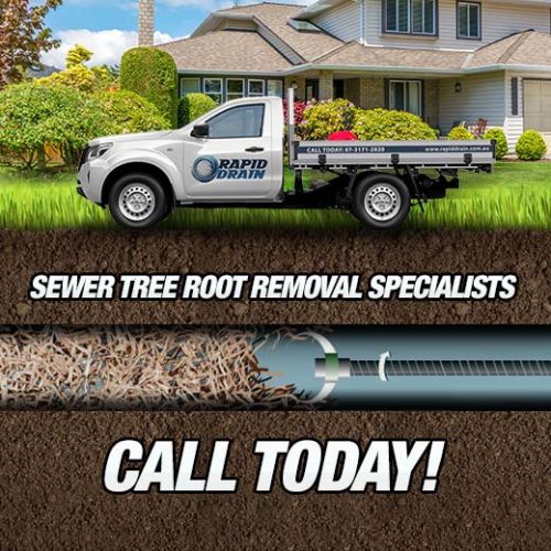 Sewer Tree Root Removal Specialists In Glen Kedron
